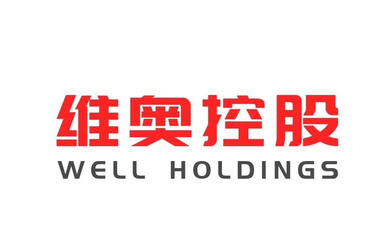 青岛维奥控股